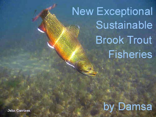 Damsa: New Exceptional Sustainable Brook Trout Fisheries